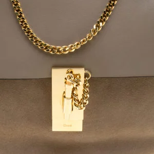 Chloe Drew Shoulder Bag detail