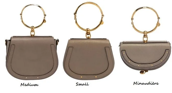 Chloé Nile Minaudière Bag side view