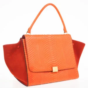 Celine Celine Large Trapeze Bag (Orange Python with Suede Wings) front view - Celine Trapeze bag