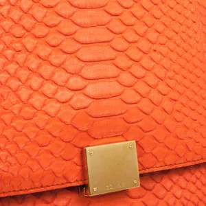 Celine Celine Large Trapeze Bag (Orange Python with Suede Wings) side view - Celine Trapeze bag
