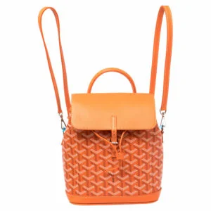Designer Backpacks front view - designer backpacks for women