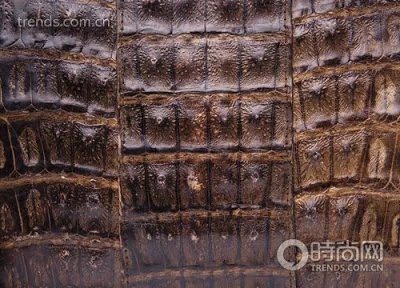exotic leather handbags detail