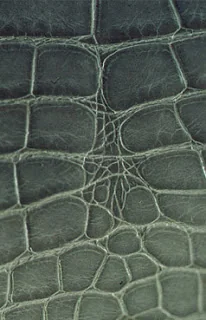 exotic leather handbags side view