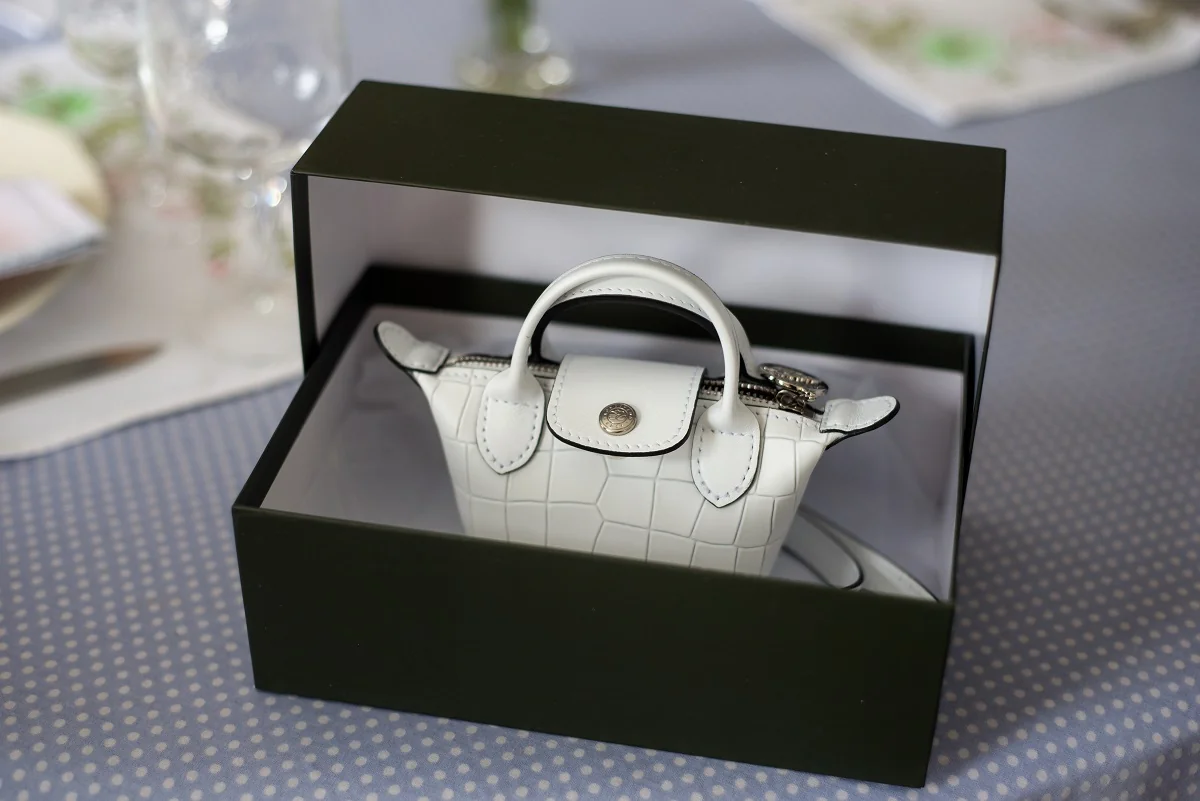 Longchamp Le Pliage bag front view