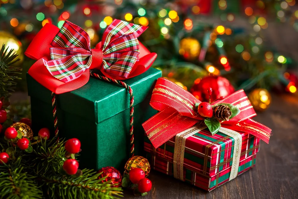 luxury holiday gift guide front view