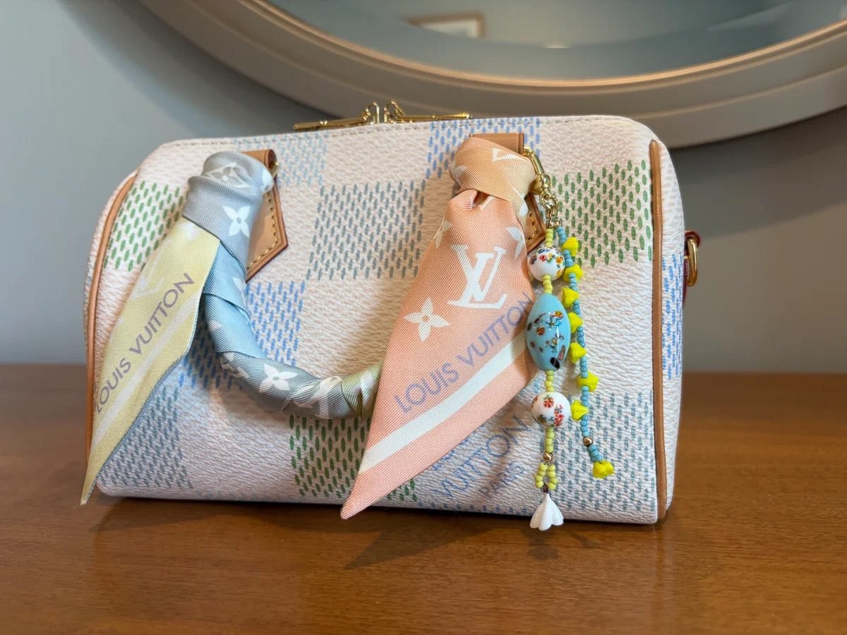 Louis Vuitton Speedy Bandoulière 20 bag