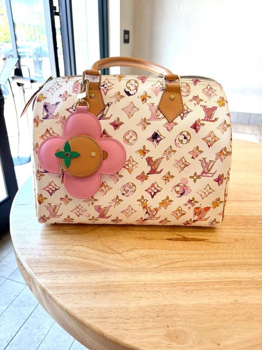 Louis Vuitton Limited Edition Watercolor Speedy